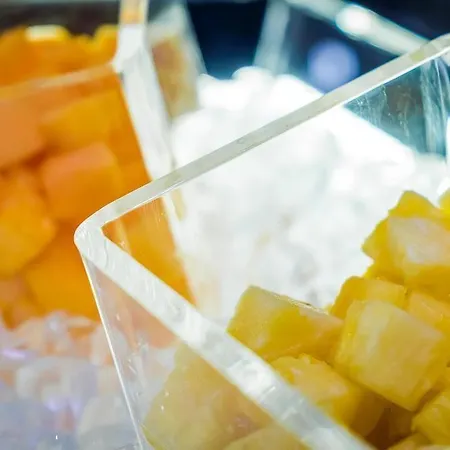 Hf Fenix Music 3* 리스본