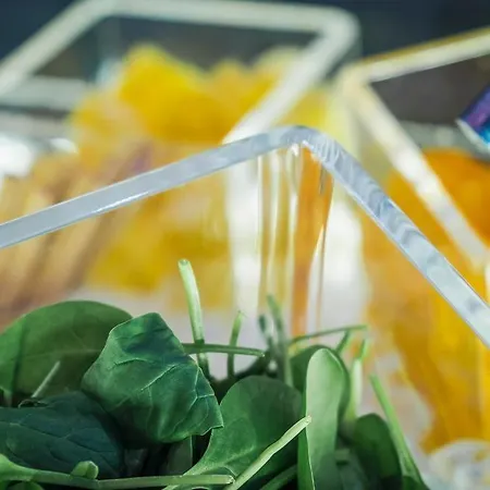 Hf Fenix Music Отель 3*